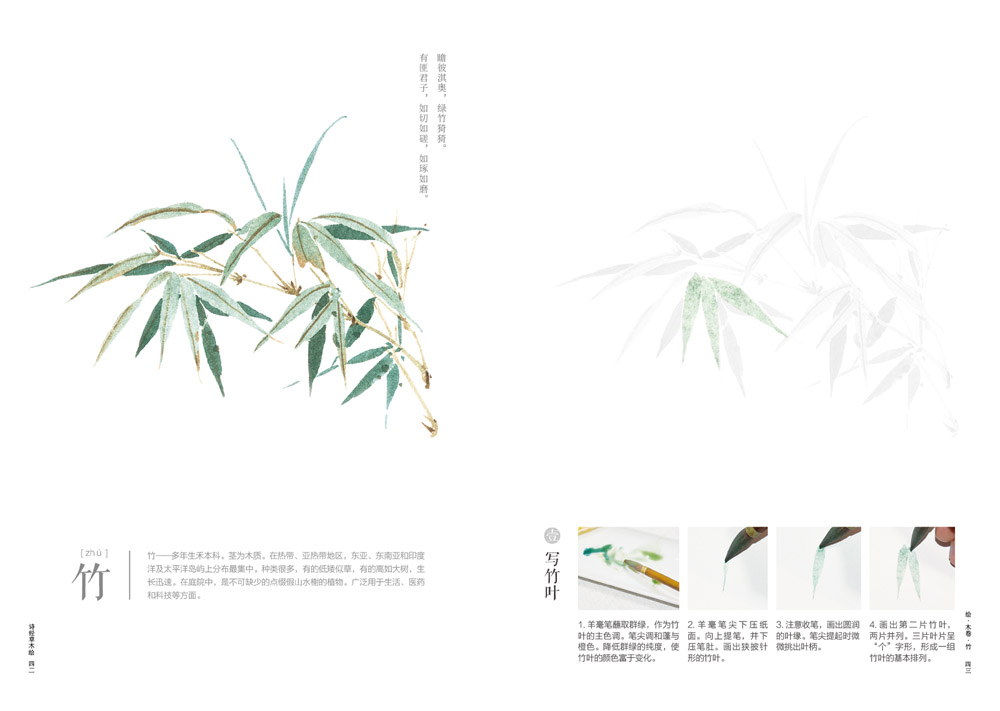 书摘6.jpg