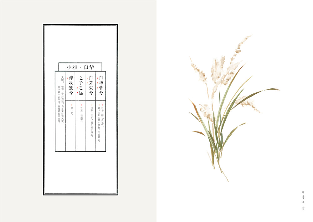 书摘4.jpg