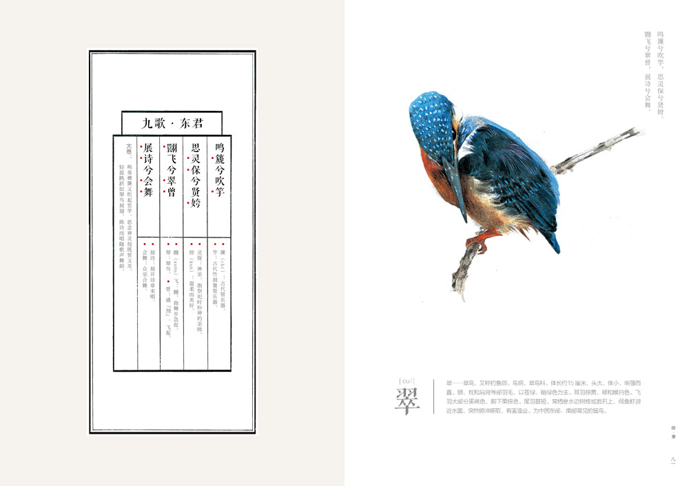 书摘11.jpg
