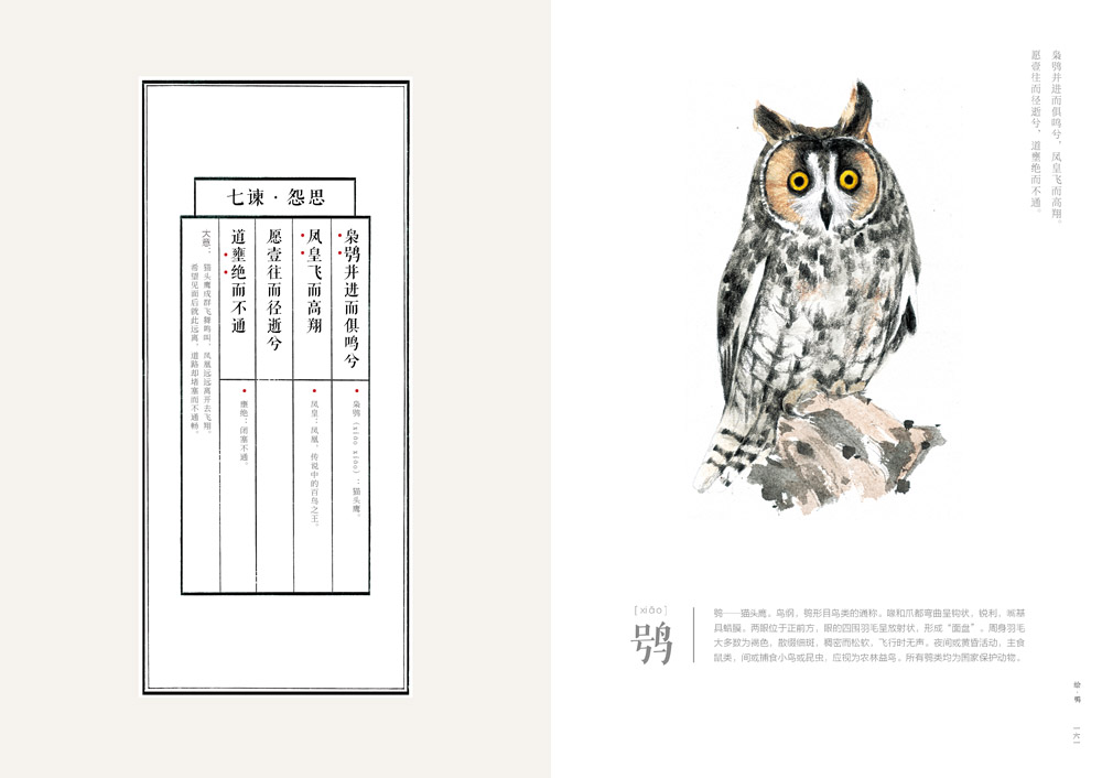 书摘12.jpg
