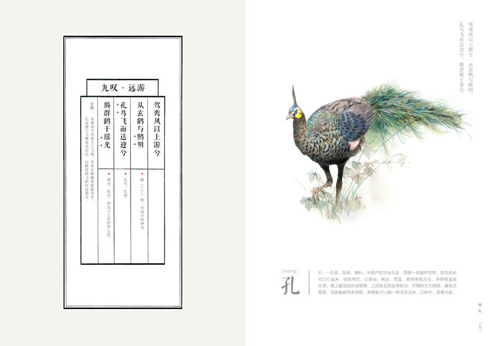 书摘14.jpg