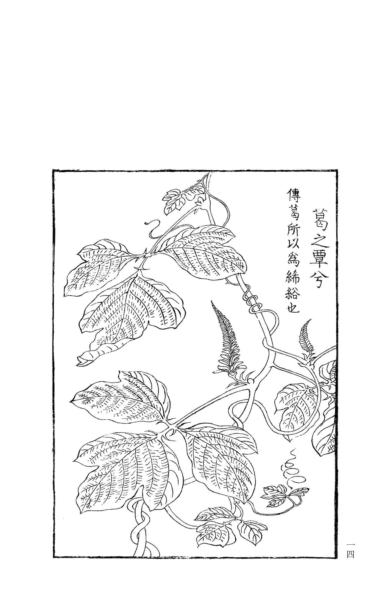 详情-04.jpg