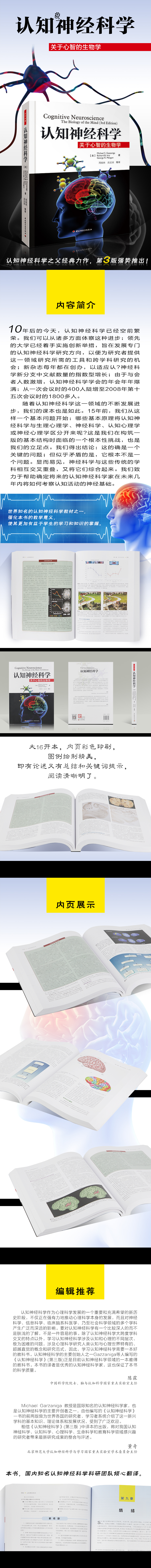 详情-01.jpg