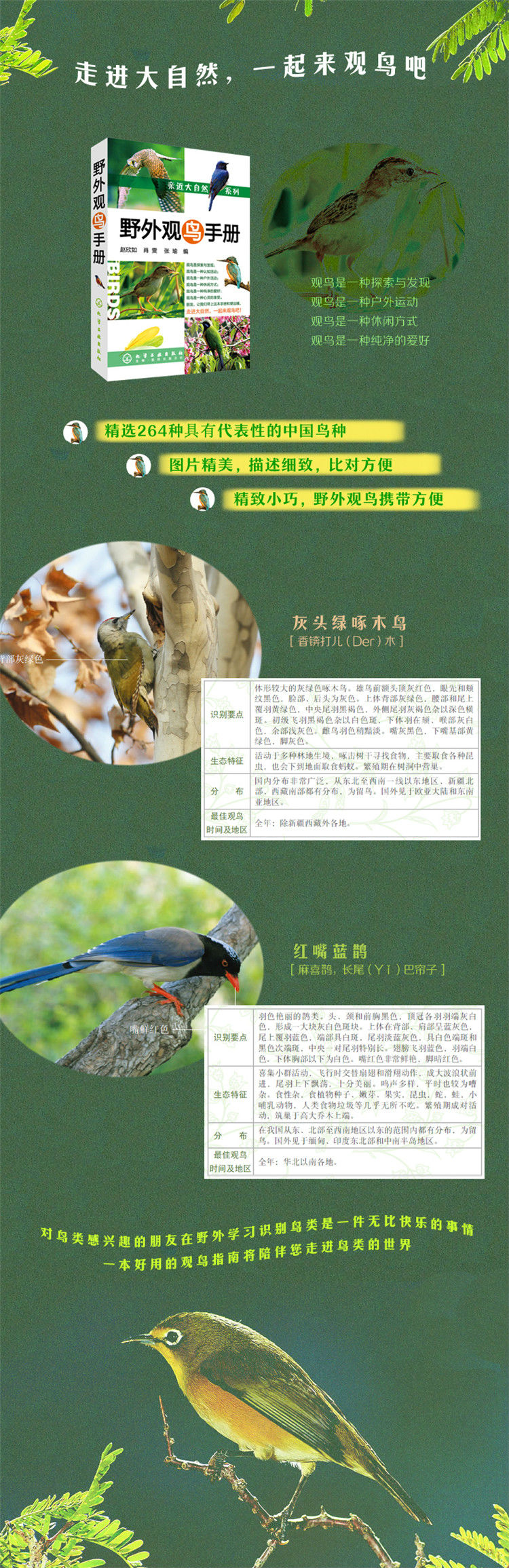 详情-01.jpg