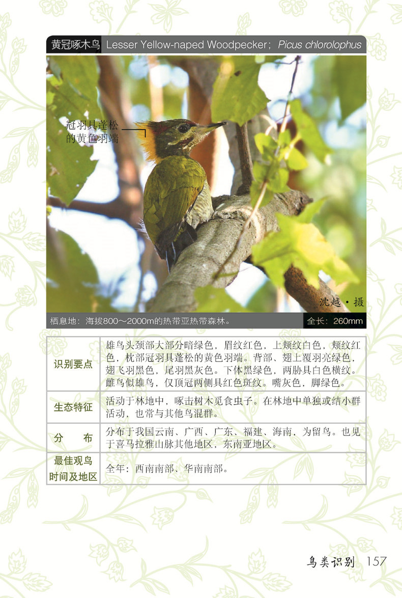 详情-02.jpg