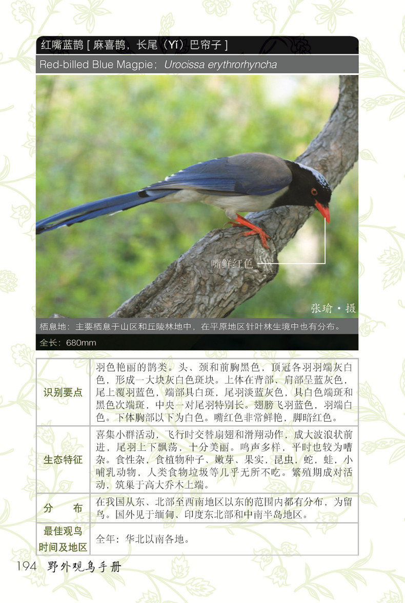 详情-04.jpg