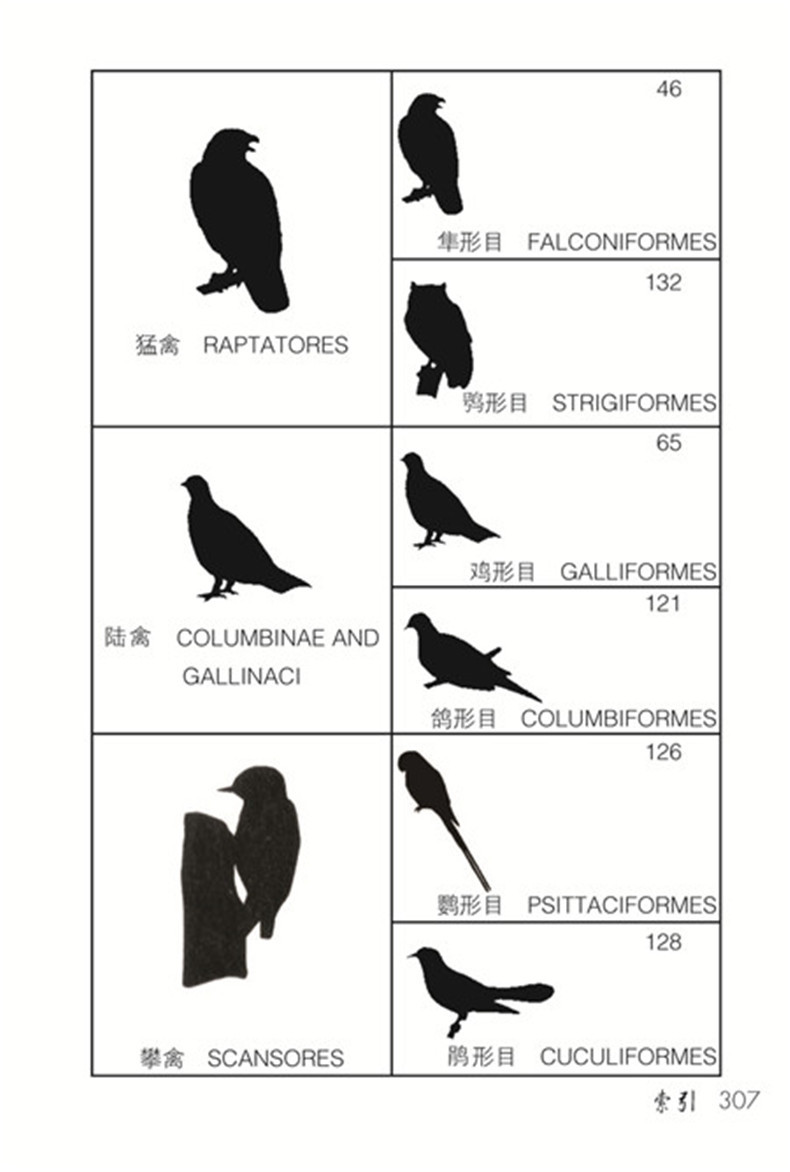 详情-08.jpg