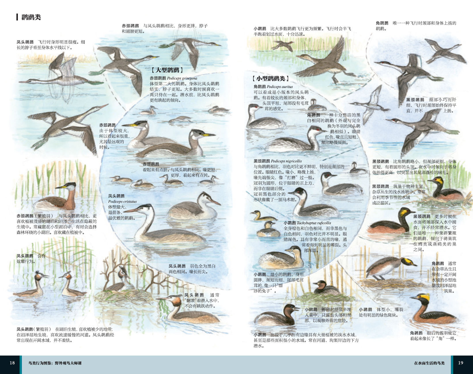 详情-02.jpg