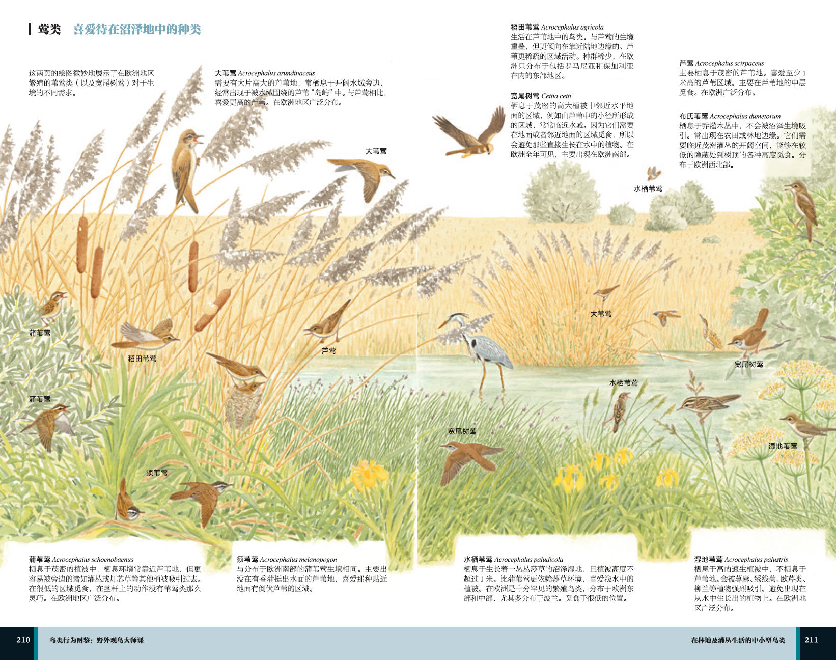 详情-07.jpg