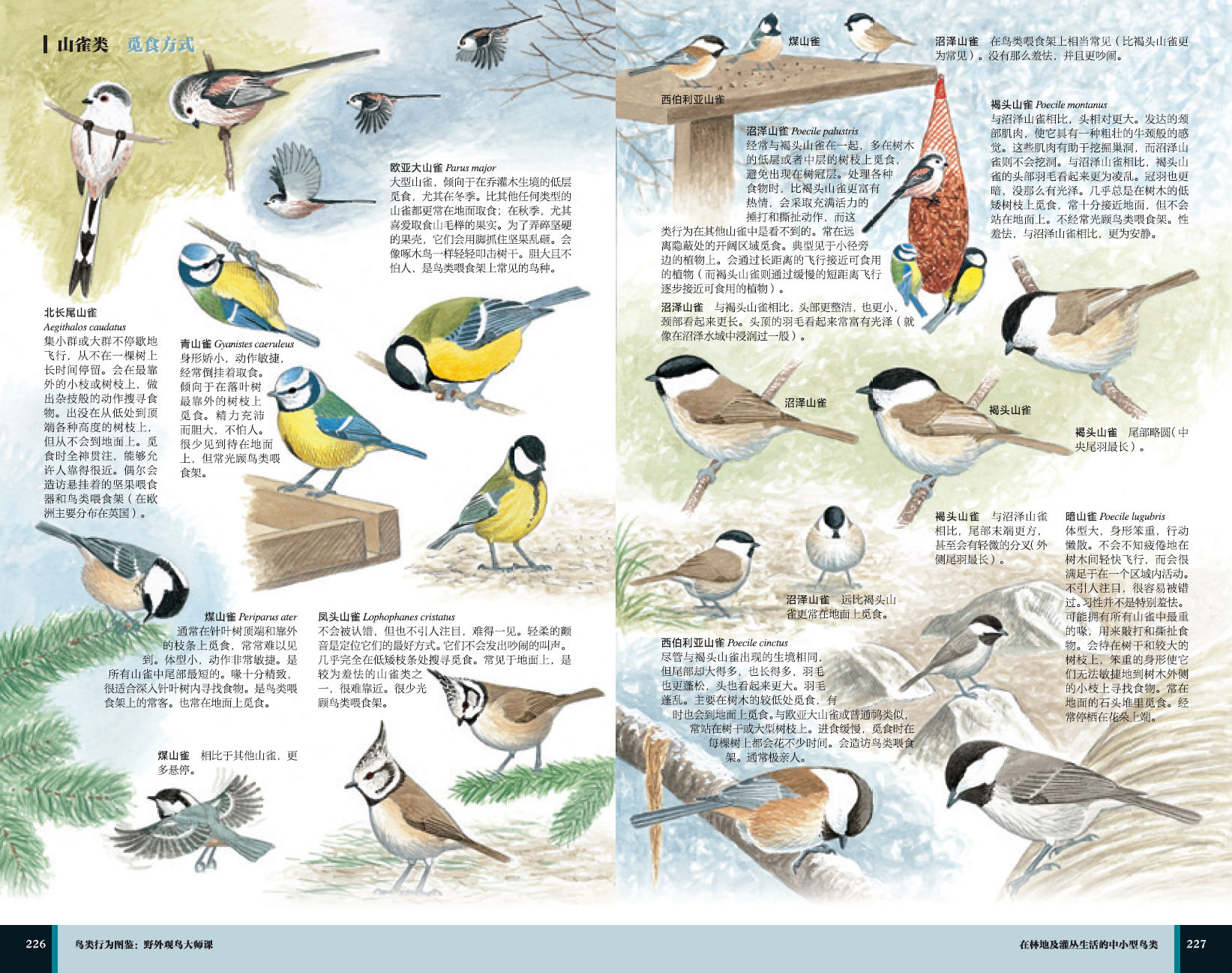 详情-09.jpg