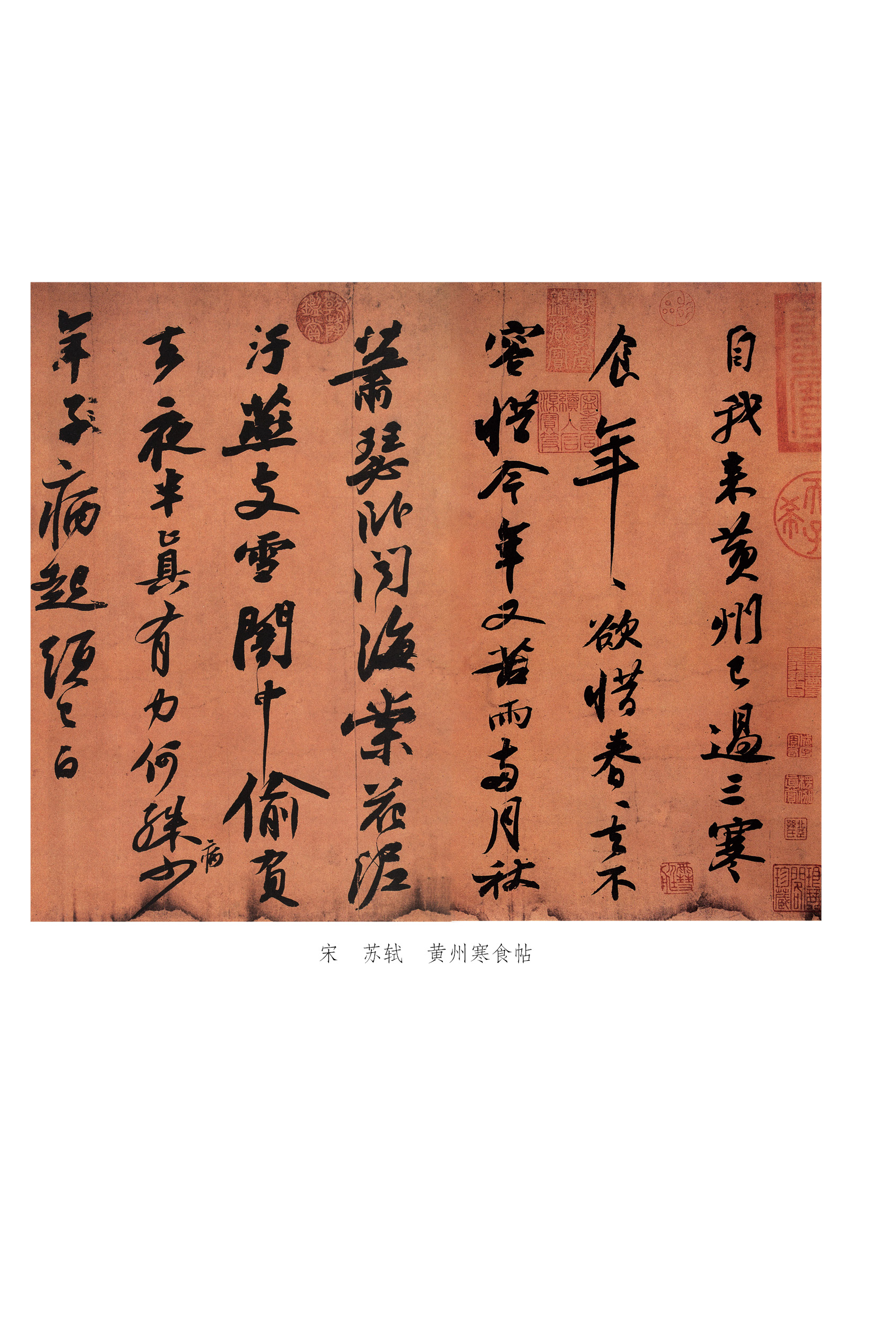 书摘2.jpg