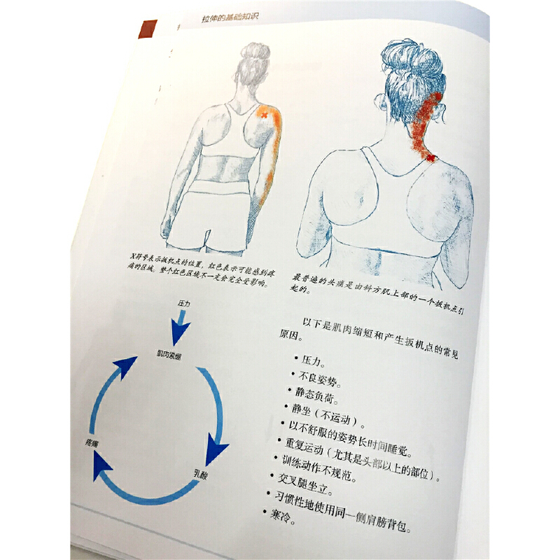 精準拉伸+深筋膜徒手松解疗法（全兩冊）