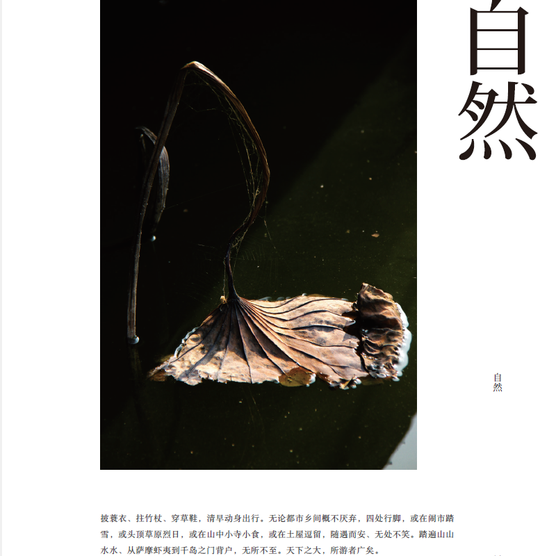 详情-08.png