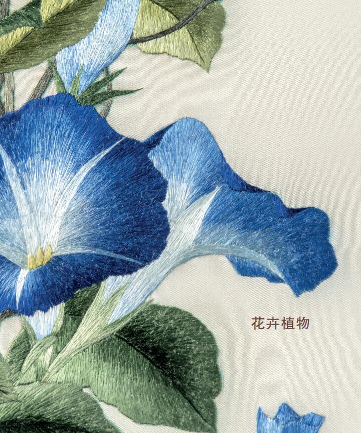 详情2.jpg
