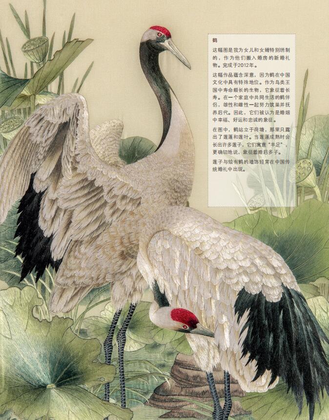 详情16.jpg