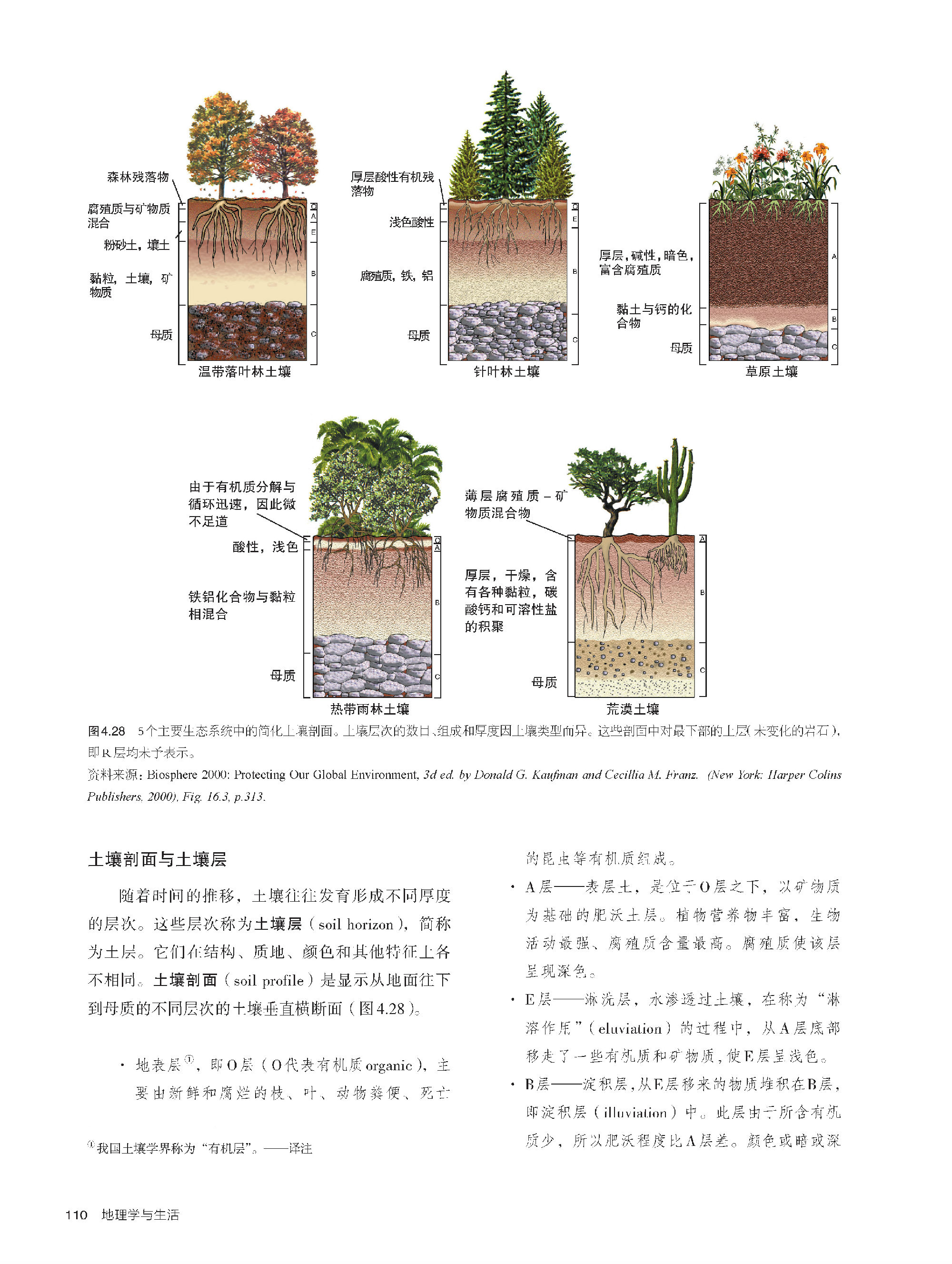 详情-08.jpg