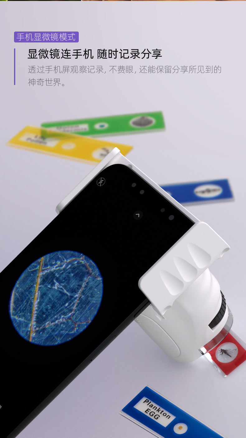 1661329788712672.jpg 详情-15.jpg