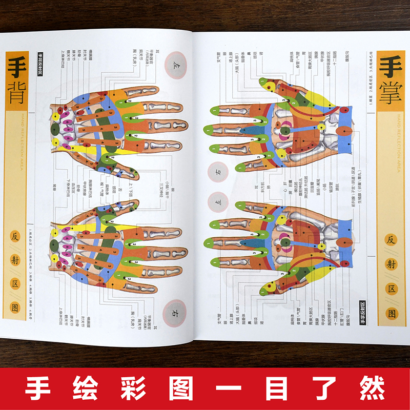 彩繪圖解全人體刮痧+彩繪圖解全人體拔罐【全2冊】