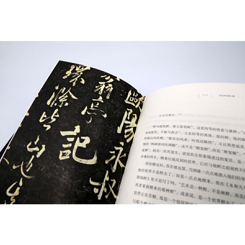 故宮的書法風流（隨書附贈辛棄疾書法傳世名作《去國帖》明信片）