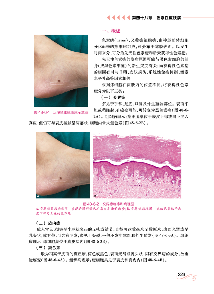 详情-15.jpg