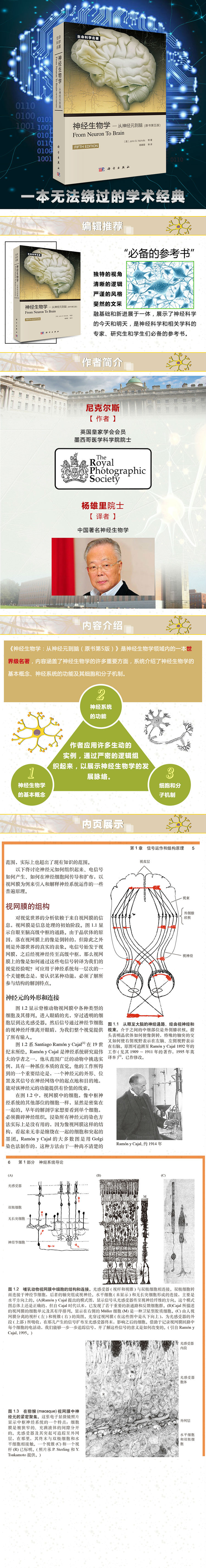 详情-01.jpg