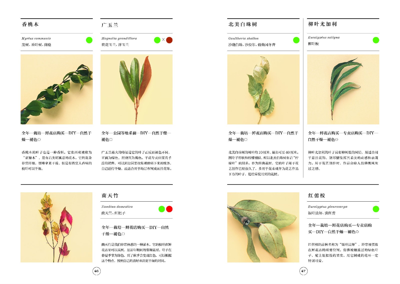 1663744742534822.jpg 1663744742534822.jpg