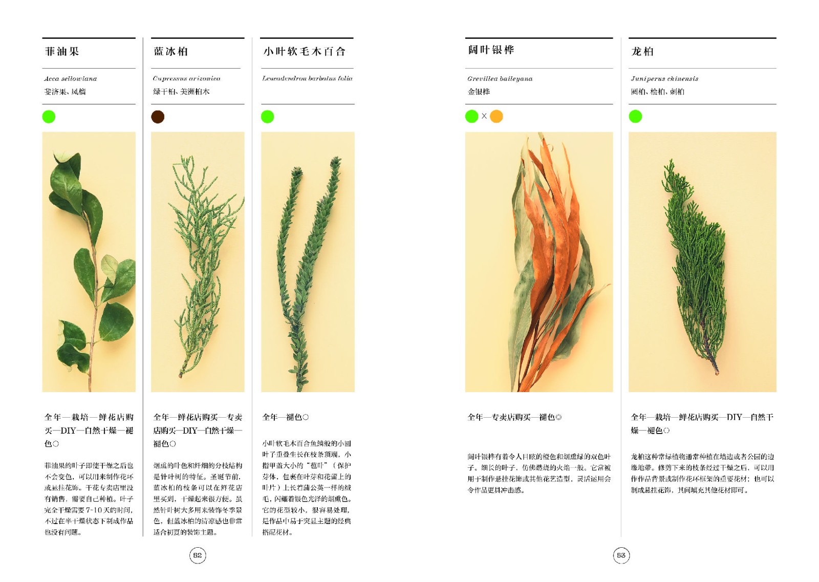 1663744742557546.jpg 1663744742557546.jpg