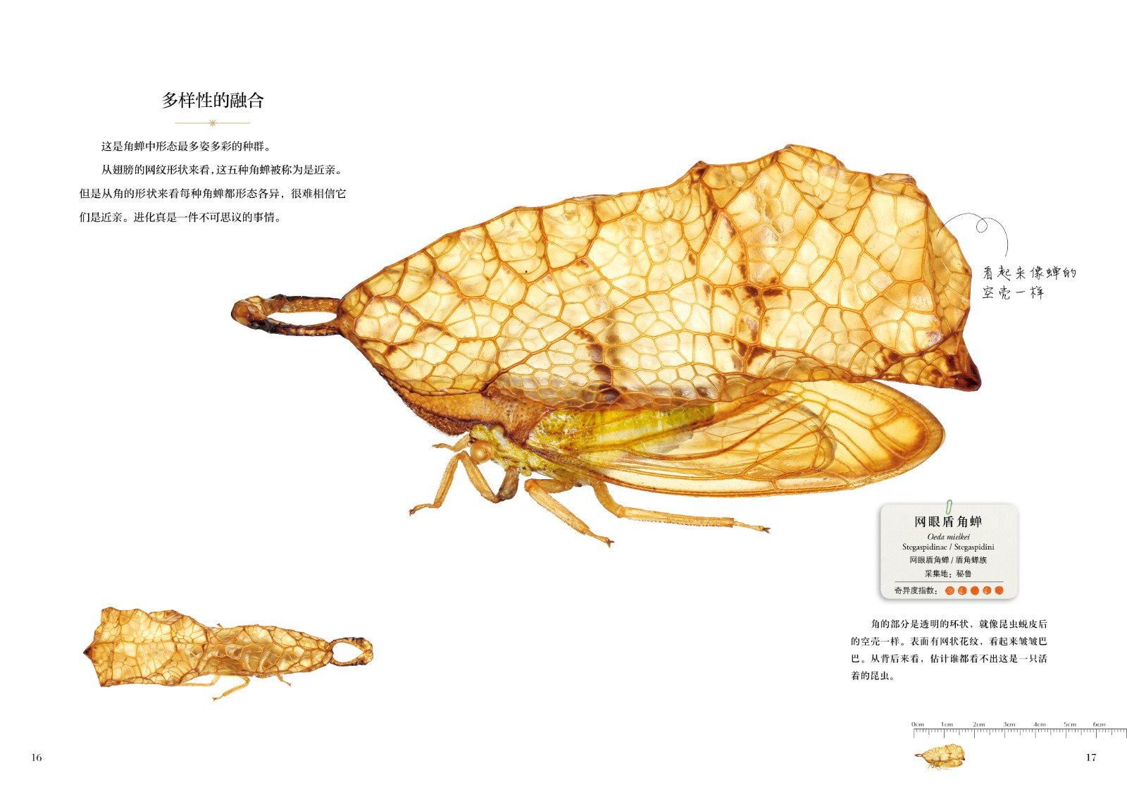 1664360368602370.jpg 1664360368602370.jpg