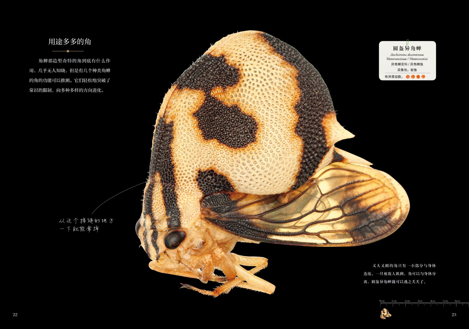 1664360369494286.jpg 1664360369494286.jpg