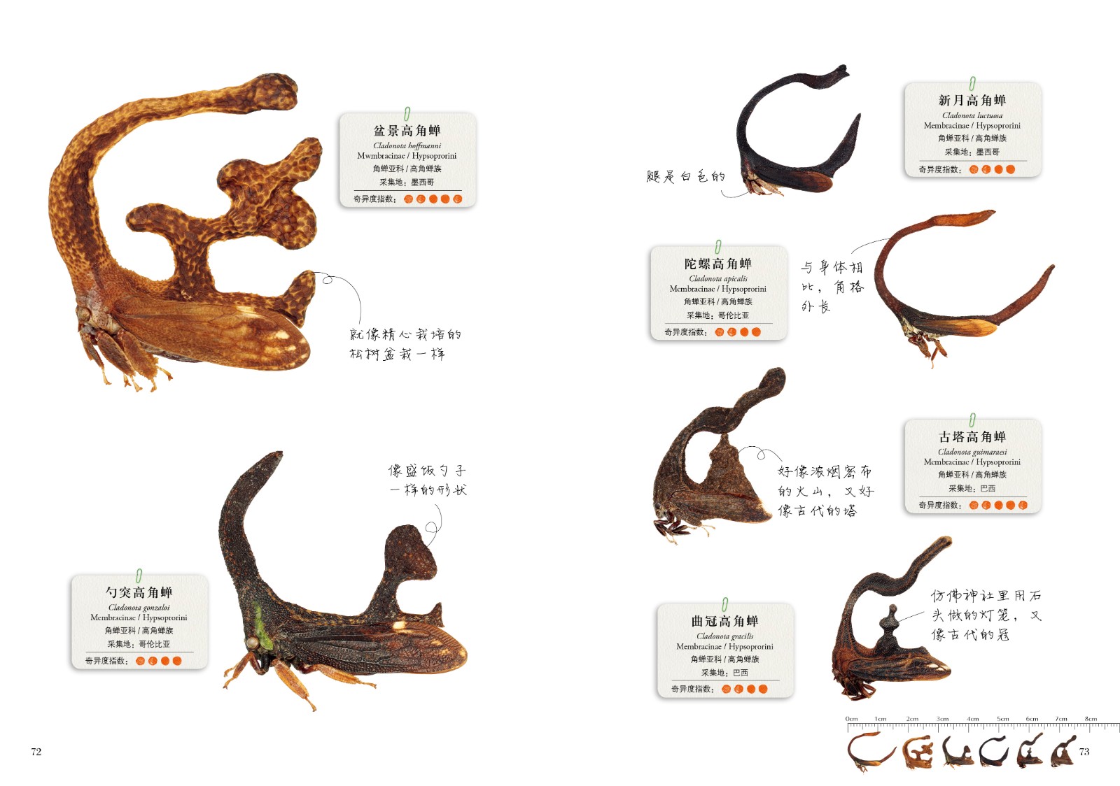 1664360369778260.jpg 1664360369778260.jpg