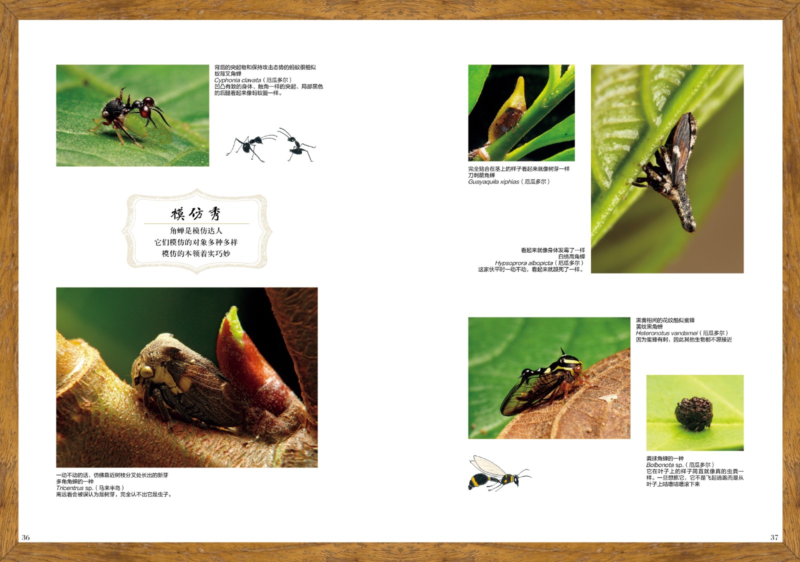 1664360369920968.jpg 1664360369920968.jpg