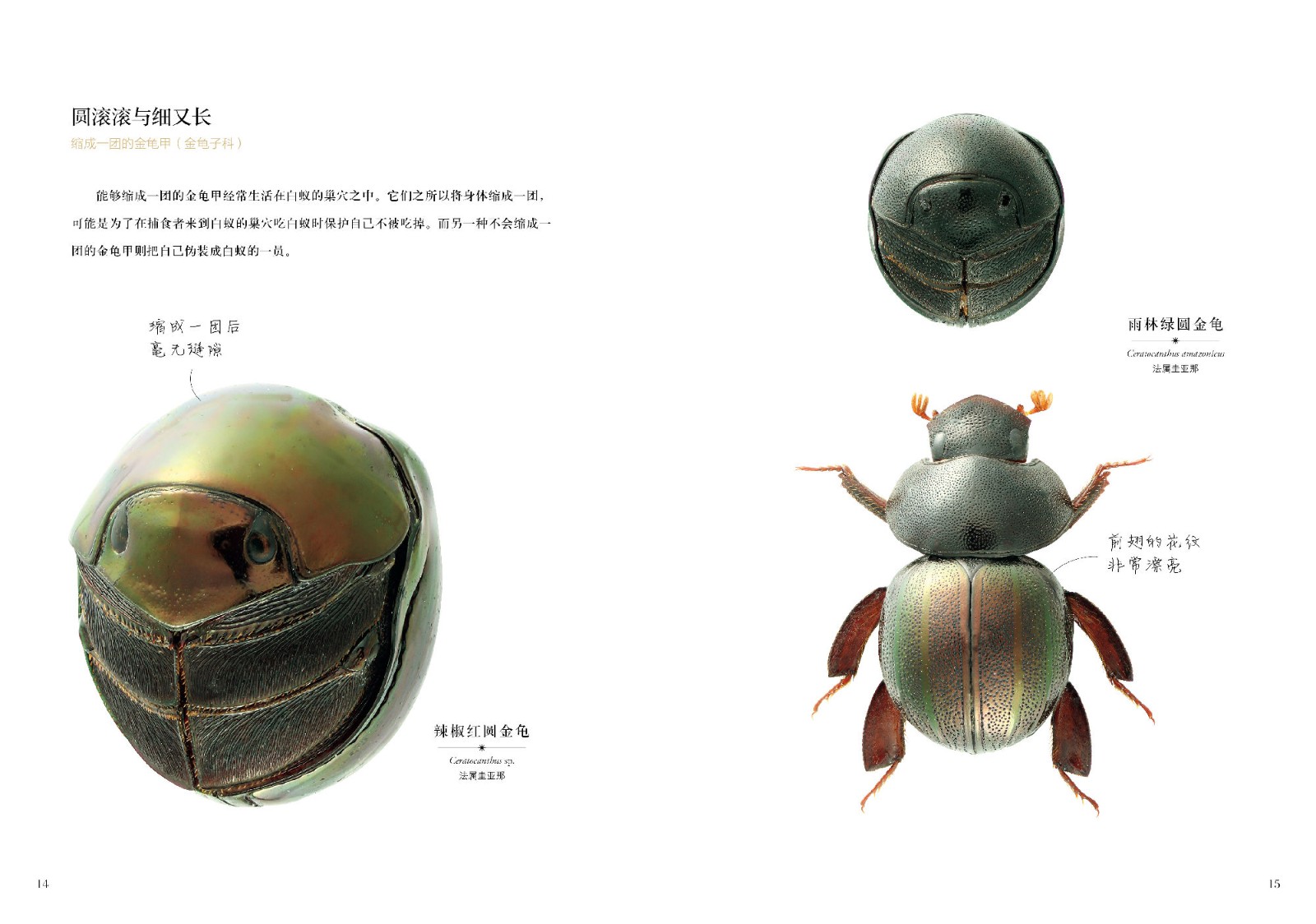 1664360490454194.jpg 1664360490454194.jpg