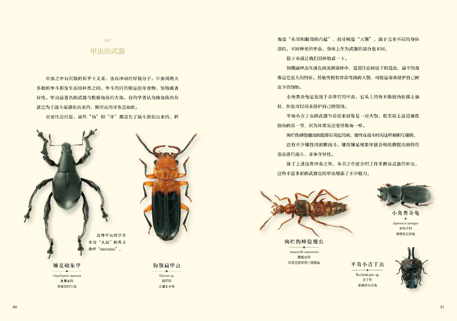 1664360490591070.jpg 1664360490591070.jpg