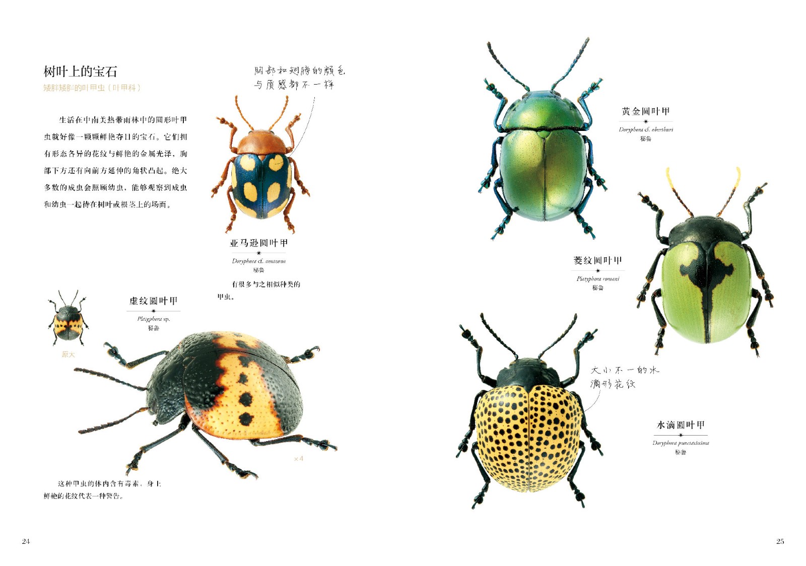 1664360490633222.jpg 1664360490633222.jpg