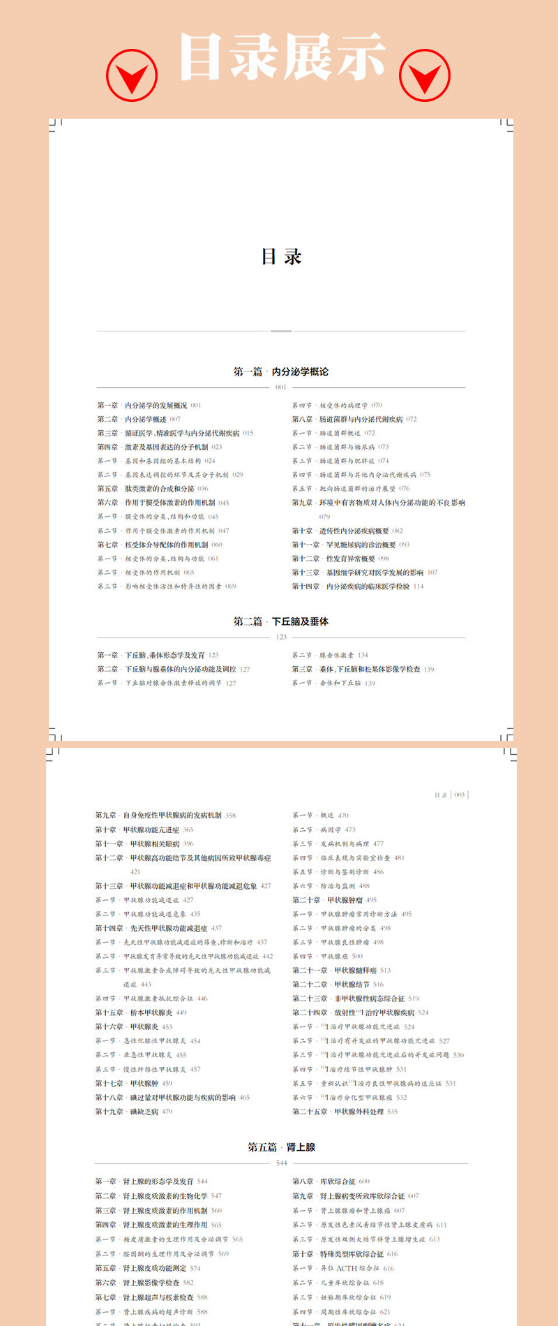 详情-04.jpg