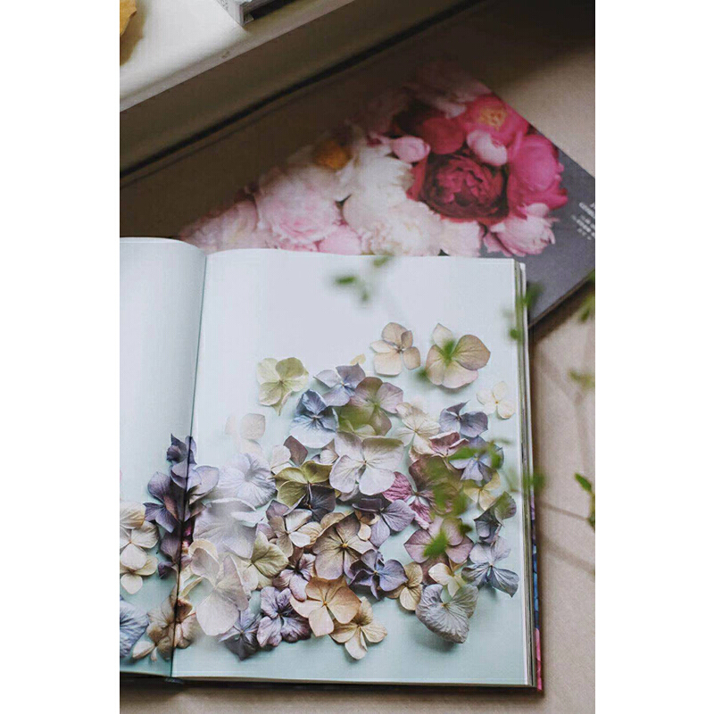 國際著名園藝師經典之作：牡丹全書+繡球全書（精裝大開本）