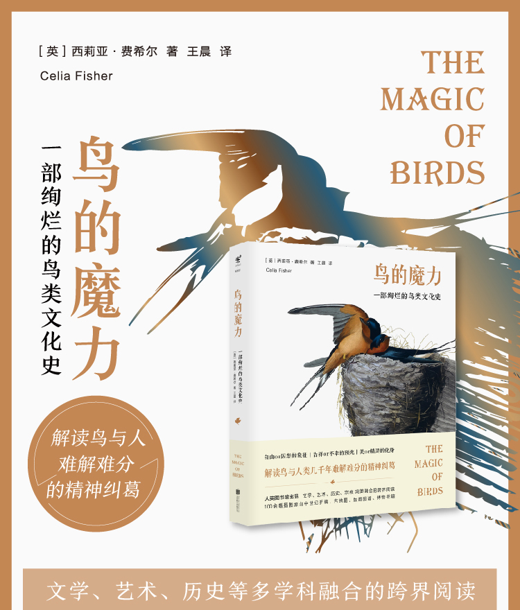 详情-02.jpg