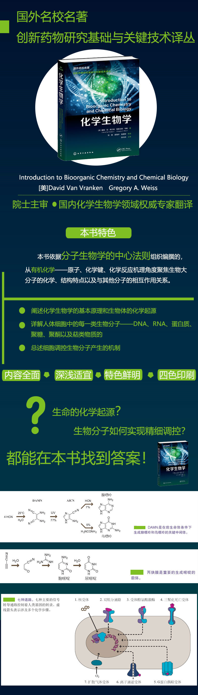 详情-02.jpg