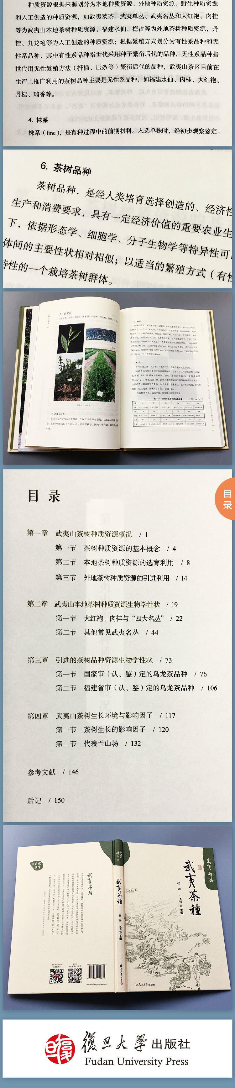 详情-02.jpg