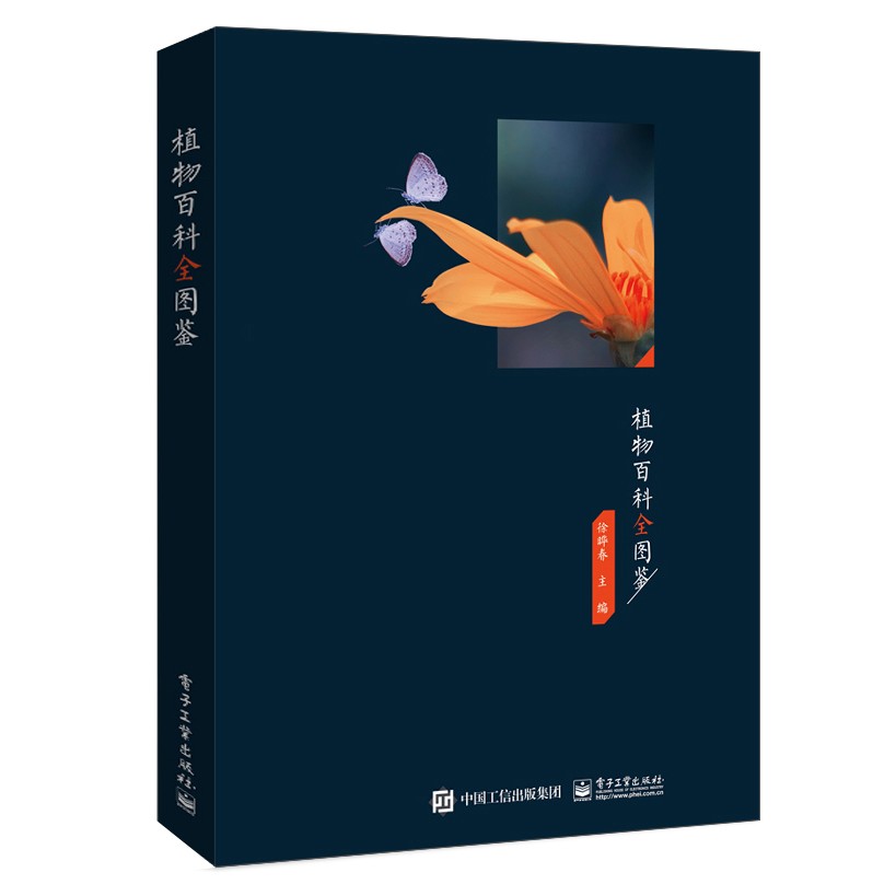 主图-01.jpg