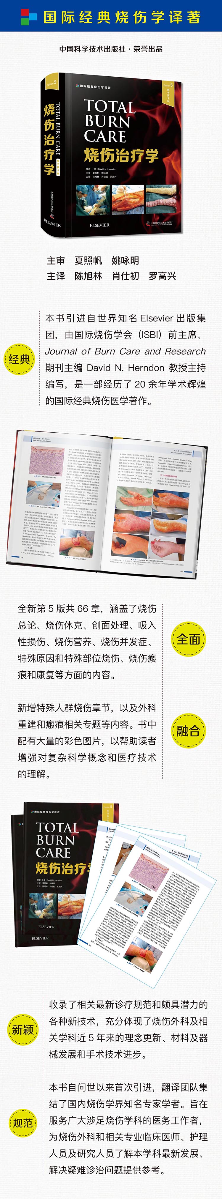详情-01.jpg
