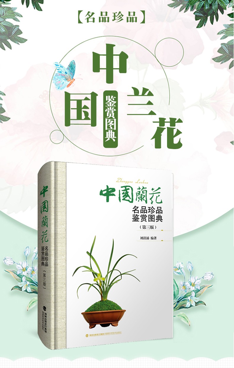 详情-01.jpg