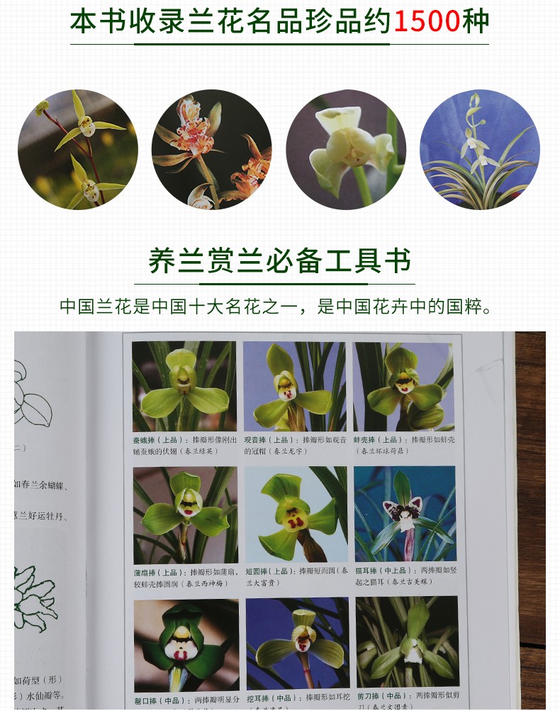 详情-02.jpg