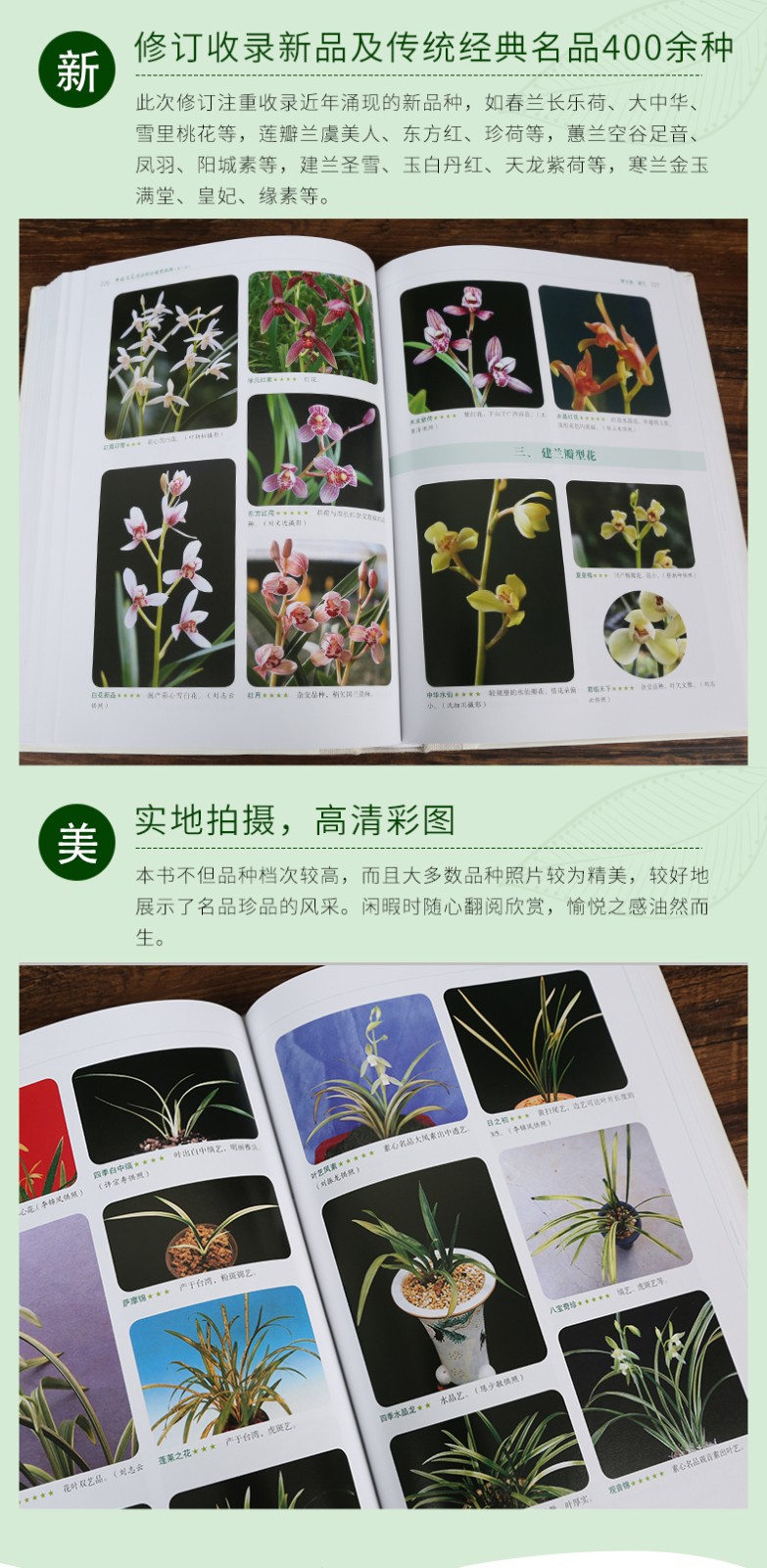 详情-05.jpg