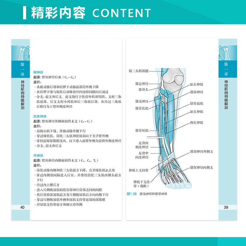 【正版】物理治療師口袋書：知識精要（引進第3版）
