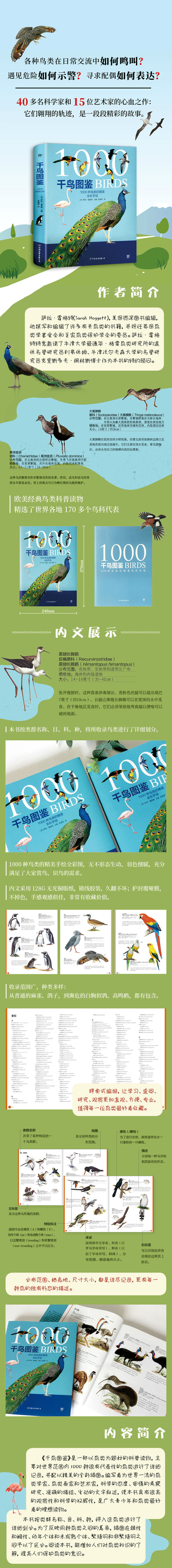 详情-01.jpg