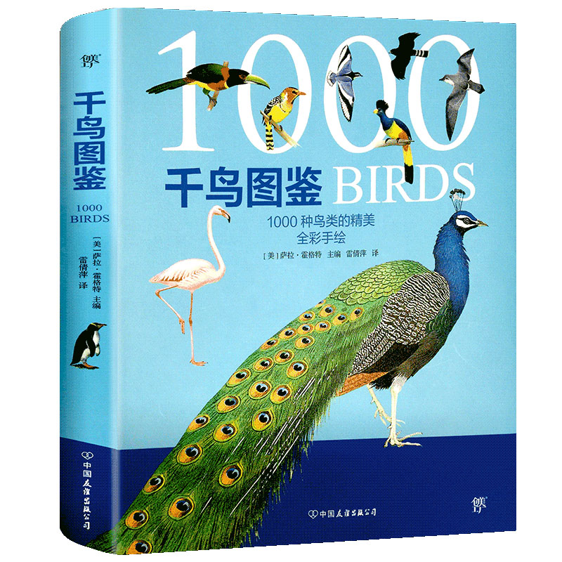 【千鳥圖鑒】