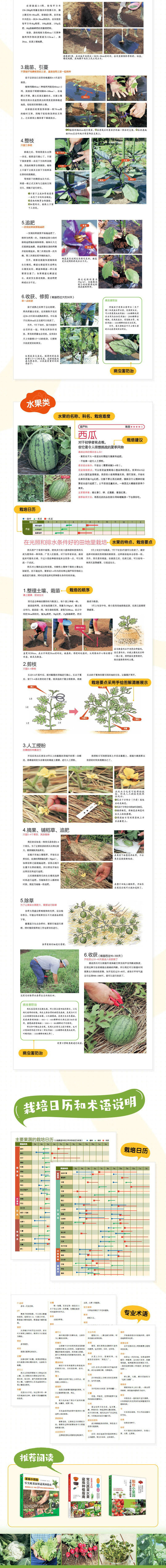 详情-02.jpg