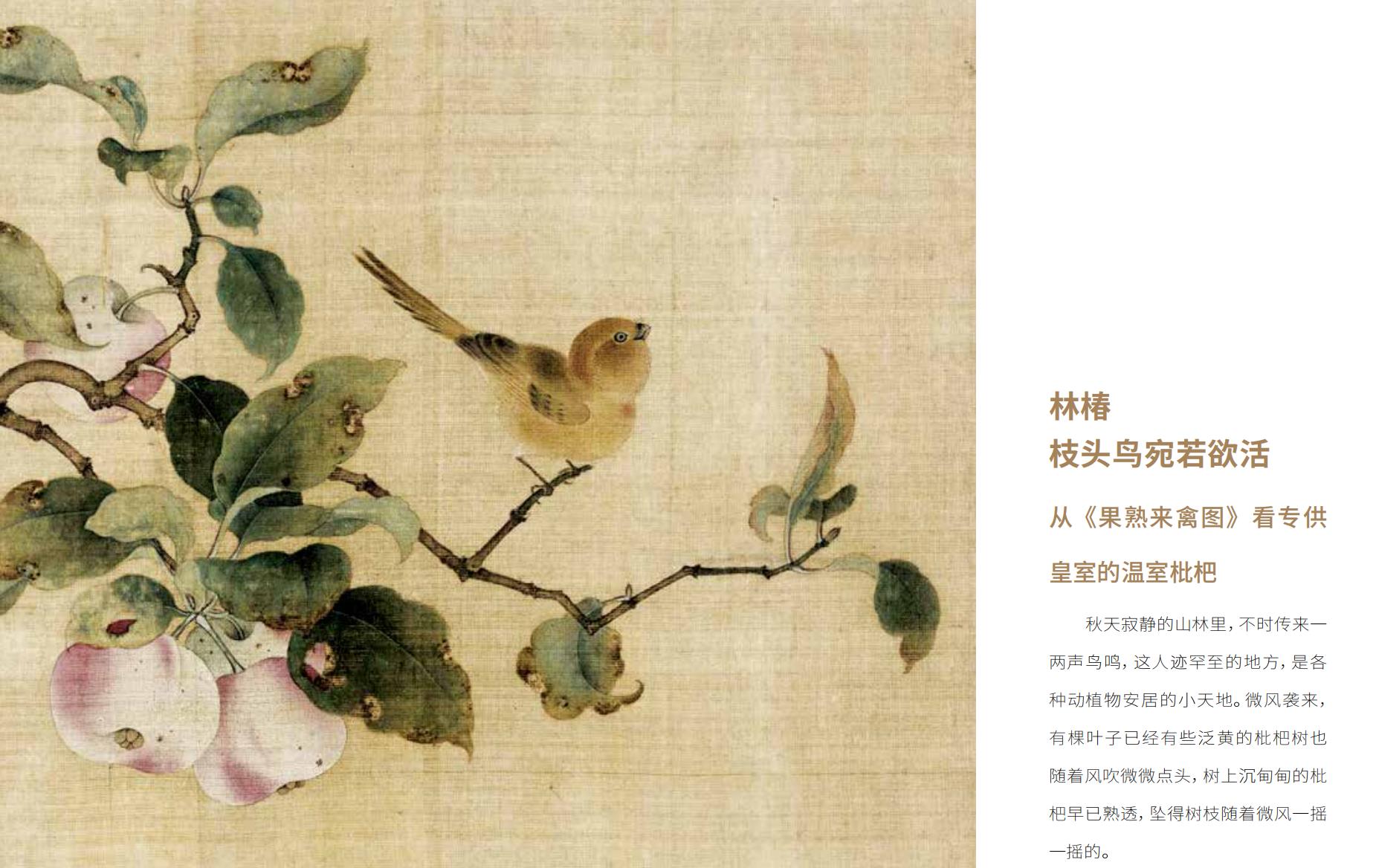 书摘1.jpg