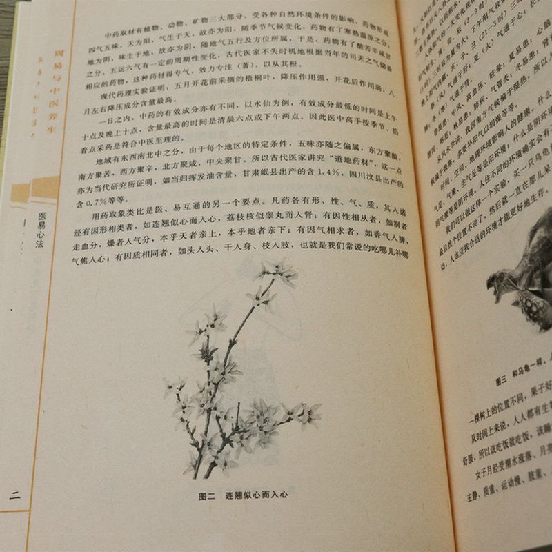 详情-57.jpg